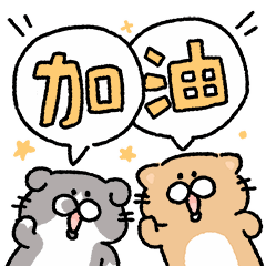 6.gif