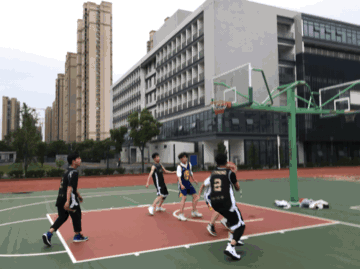 5.gif