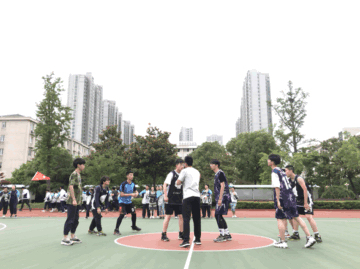 6.gif